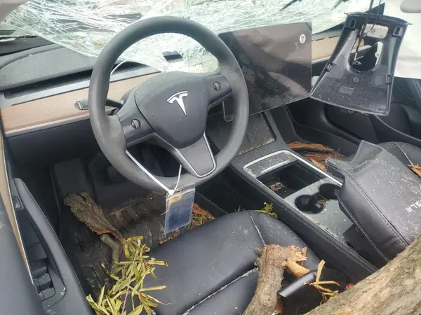 5YJ3E1EA2PF654824 2023 TESLA MODEL 3 - Image 8