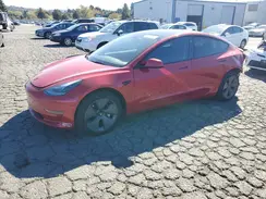 5YJ3E1EA2PF710311 2023 TESLA MODEL 3