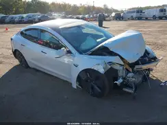 5YJ3E1EA3LF504179 2020 TESLA MODEL 3