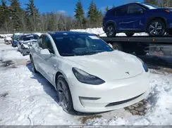 5YJ3E1EA3LF613497 2020 TESLA MODEL 3
