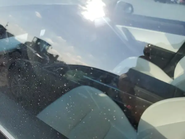 5YJ3E1EA3LF718069 2020 TESLA MODEL 3 - Image 8