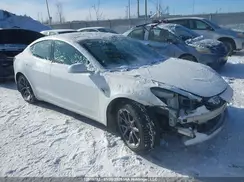 5YJ3E1EA3LF790079 2020 TESLA MODEL 3