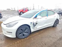 5YJ3E1EA3LF790129 2020 TESLA MODEL 3
