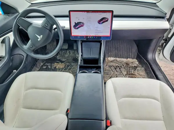 5YJ3E1EA3LF790129 2020 TESLA MODEL 3 - Image 8