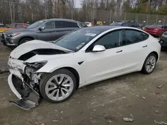 5YJ3E1EA3MF028100 2021 TESLA MODEL 3