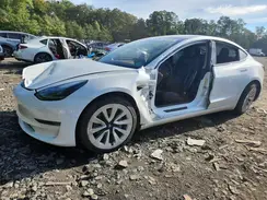 5YJ3E1EA3MF042319 2021 TESLA MODEL 3