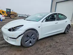 5YJ3E1EA3MF087647 2021 TESLA MODEL 3