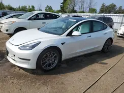 5YJ3E1EA3NF192867 2022 TESLA MODEL 3