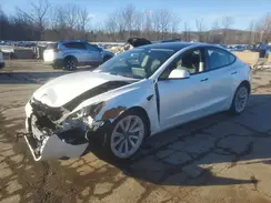 5YJ3E1EA3NF313171 2022 TESLA MODEL 3