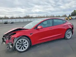 5YJ3E1EA3PF439033 2023 TESLA MODEL 3