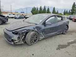 5YJ3E1EA3PF490368 2023 TESLA MODEL 3
