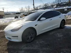 5YJ3E1EA3PF490516 2023 TESLA MODEL 3