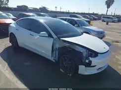 5YJ3E1EA3PF516161 2023 TESLA MODEL 3