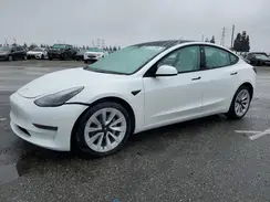 5YJ3E1EA3PF542579 2023 TESLA MODEL 3