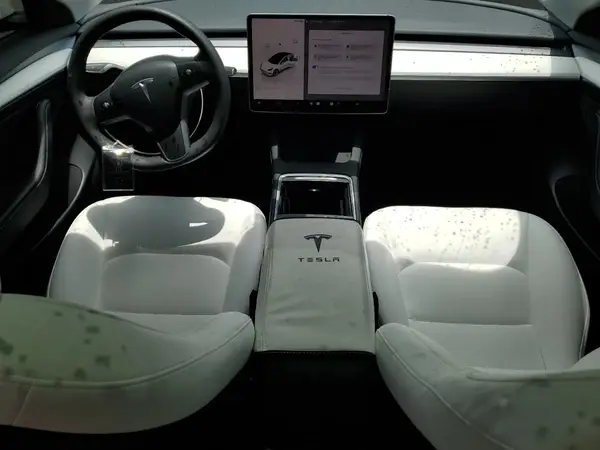 5YJ3E1EA3PF564257 2023 TESLA MODEL 3 - Image 8