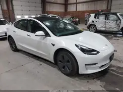 5YJ3E1EA3PF568406 2023 TESLA MODEL 3