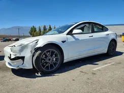 5YJ3E1EA3PF585464 2023 TESLA MODEL 3