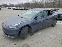 5YJ3E1EA3PF664682 2023 TESLA MODEL 3