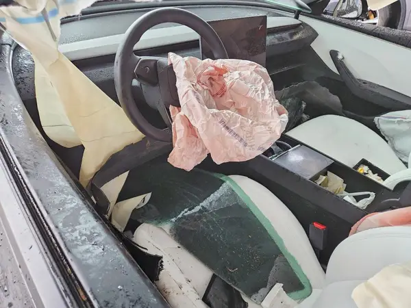 5YJ3E1EA3RF867882 2024 TESLA MODEL 3 - Image 8