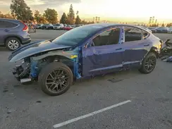 5YJ3E1EA3SF907447 2025 TESLA MODEL 3