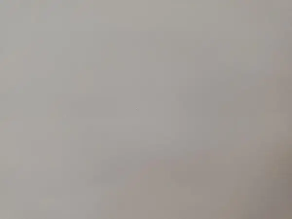 5YJ3E1EA4KF395374 2019 TESLA MODEL 3 - Image 1