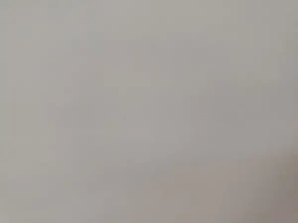 5YJ3E1EA4KF395374 2019 TESLA MODEL 3 - Image 2