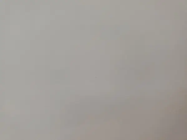 5YJ3E1EA4KF395374 2019 TESLA MODEL 3 - Image 8