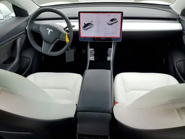 5YJ3E1EA4LF599397 2020 TESLA MODEL 3 - Image 8