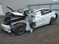5YJ3E1EA4LF612231 2020 TESLA MODEL 3