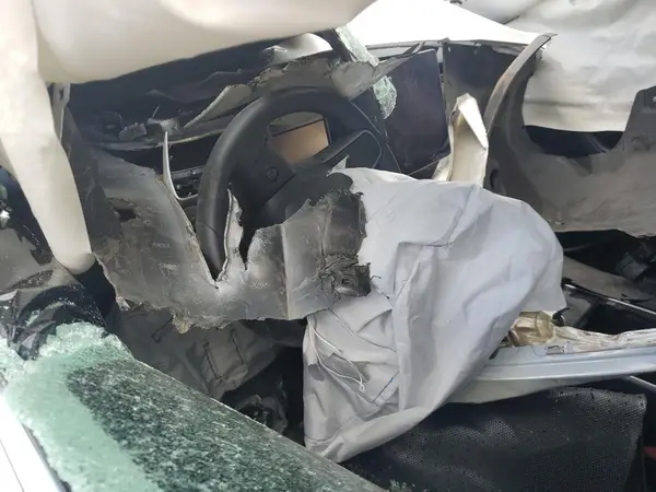 5YJ3E1EA4LF612231 2020 TESLA MODEL 3 - Image 8