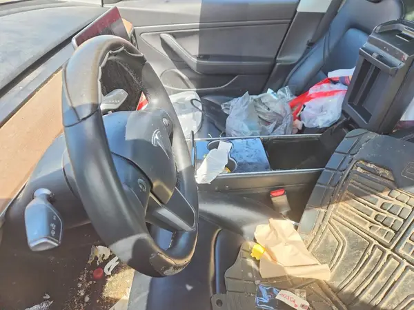5YJ3E1EA4LF630504 2020 TESLA MODEL 3 - Image 8