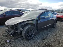 5YJ3E1EA4MF023925 2021 TESLA MODEL 3
