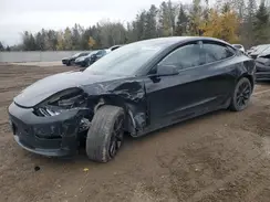 5YJ3E1EA4MF062126 2021 TESLA MODEL 3