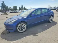 5YJ3E1EA4MF096583 2021 TESLA MODEL 3