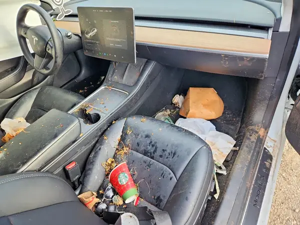 5YJ3E1EA4MF873960 2021 TESLA MODEL 3 - Image 8