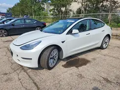 5YJ3E1EA4NF190531 2022 TESLA MODEL 3