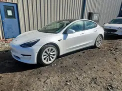 5YJ3E1EA4NF369569 2022 TESLA MODEL 3