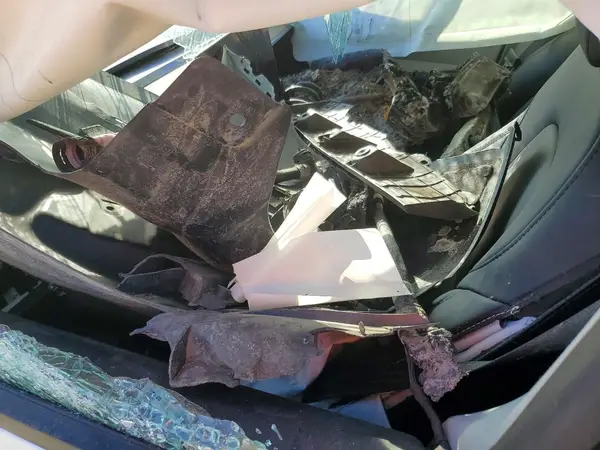 5YJ3E1EA4PF422631 2023 TESLA MODEL 3 - Image 8