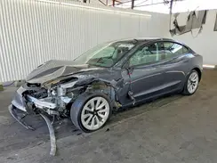 5YJ3E1EA4PF436464 2023 TESLA MODEL 3
