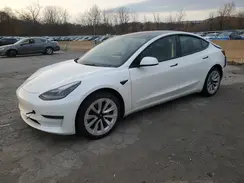 5YJ3E1EA4PF437386 2023 TESLA MODEL 3