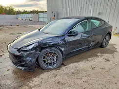 5YJ3E1EA4PF438800 2023 TESLA MODEL 3