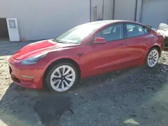 5YJ3E1EA4PF449182 2023 TESLA MODEL 3