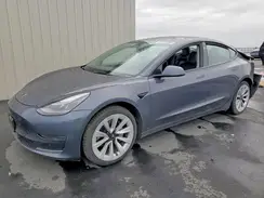 5YJ3E1EA4PF459016 2023 TESLA MODEL 3