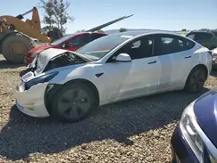 5YJ3E1EA4PF468248 2023 TESLA MODEL 3