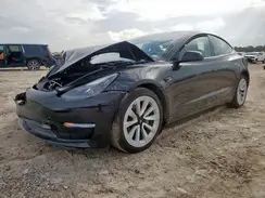 5YJ3E1EA4PF514774 2023 TESLA MODEL 3