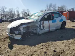 5YJ3E1EA4PF566177 2023 TESLA MODEL 3