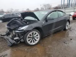 5YJ3E1EA4PF641282 2023 TESLA MODEL 3