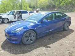 5YJ3E1EA4PF644831 2023 TESLA MODEL 3