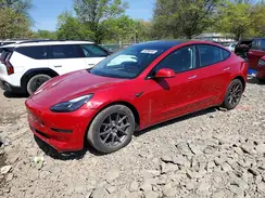 5YJ3E1EA4PF664139 2023 TESLA MODEL 3