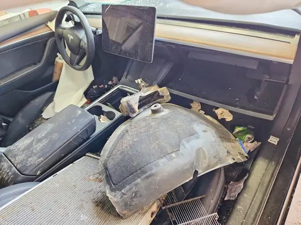 5YJ3E1EA4PF702811 2023 TESLA MODEL 3 - Image 8